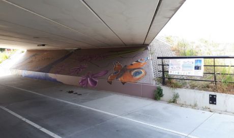 Muurschildering Nagelbrug